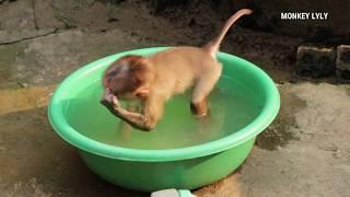 First Time Seeing Baby Lyly Go to Play Water in Tube Bathing by Herself