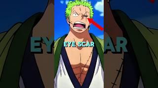 How Zoro Got Left Eye Scar? | Onepiece