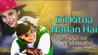 Dil Kitna Nadan Hai (Title Track) By Kumar Sanu || Dil Kitna Nadan Hai (1997)