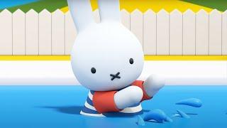 Swimming Lessons | Miffy | New Series! | Miffy's Adventures Big & Small