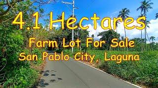 4.1 Hectares, Farm Lot for Sale (Prop# 190) Brgy. San Ignacio, San Pablo City, Laguna