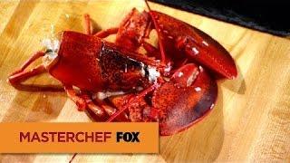 MASTERCHEF | Gordon's Lobster Demo from "Gordon Ramsay Masterclass"(Movietime24)