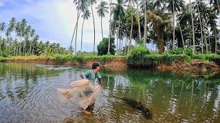 THIS RIVER IS FAR FROM THE SEA, BUT LOTS OF SEA FISH.‼️ Amazing fishing video