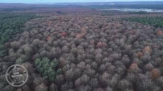 Forêt de Brotonne en automne, survol de la forêt | Drone 4K | FRANCE