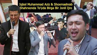 Iqbol MuhammadAziz & Shoxmashrab Shaxrixonda Birrovda avjiga chiqishdi MUZIKANT HAM O'ZLARI. 