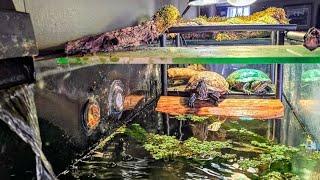 NEW DIY Turtle Basking Platform Dock! _ Built From Scrap Material // Whitt Acres