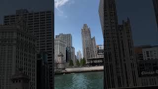 The city of dreams ️ #chicago #shorts #downtown #youtube #reelsinstagram #chicagodowntown