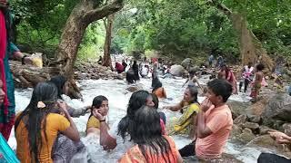 Ayyanar falls Rajapalayam