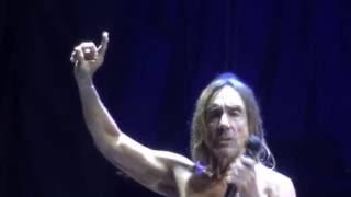 Iggy Pop - 20. Tonight (Positivus Festival, Salacgriva, Latvia, 17.07.16)