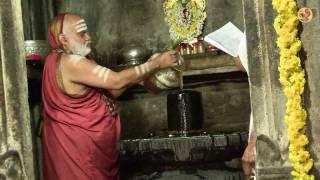 A Historic Event - Vidyashankara Temple Kumbhabhishekam
