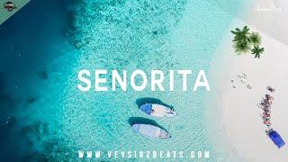 Senorita - Afrotrap Type Beat | Afro Trap Instrumental | Positive Summer Rap Beat [prod. Veysigz]