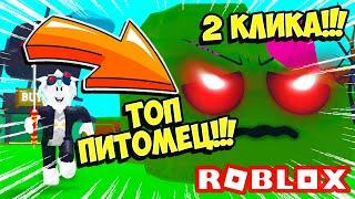 2 КЛИКА + САМЫЙ РЕДКИЙ ПИТОМЕЦ В СИМУЛЯТОРЕ ЧЕМПИОН ПИРАТОВ! ROBLOX Pirate Champions