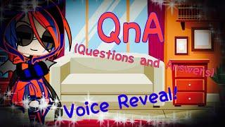 QnA (Questions and Answers) / Voice Reveal! / 500k+ sub special