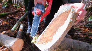 Mini Chainsaw in the Bushcraft Camp, Avhrit 6 and 8 inch