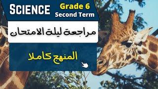 SCIENCE | Grade 6 | Night Exam Revision | مراجعة ليلة الامتحان 2024