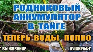 РОДНИК В ЛЕСУ - МОЙ РОДНИК. Обустройство бушкрафт родника. Сбор родниковой воды