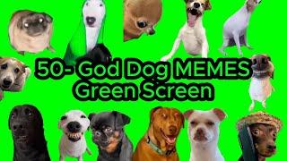 DOG MEMES GREEN SCREEN