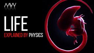 How Life Defies Physics? What Is The Meaning Of Life?