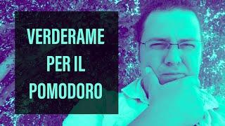 Verderame per il Pomodoro nell' Orto Precisazioni