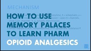 How to Use Memory Palaces in Medical School | Pharmacology: Opioid Analgesics