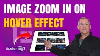 Elevate Your Design: Elementor's Image Zoom & Lightbox Unleashed!