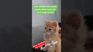 ERDAL DEMİRHAN TİKTOK FENOMENİ