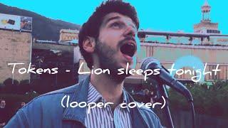 Lion sleeps tonight - Tokens (looper cover Dzhigit art)