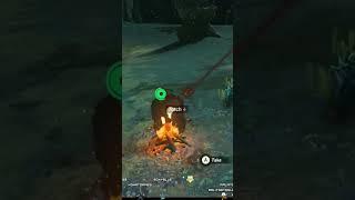 Try This One Hack in Tears of the Kingdom #tearsofthekingdom #totk #legendofzelda #breathofthewild