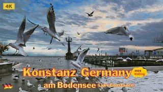 Konstanz  |Winter 4K Walking Tour|Constance Lake(Bodensee)