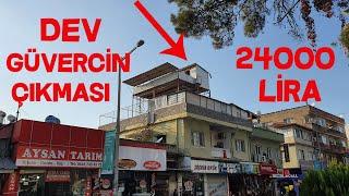 Dev Güvercin Çıkması Tülücülerin Yeni Kümesini Ziyaret Ettim