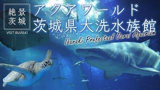 【絶景茨城】アクアワールド 茨城県大洗水族館｜VISIT IBARAKI,JAPAN