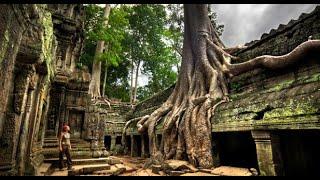 Angkor Them - Ta Prohm Temple (Tomb Raider Movie Set) Ruins Overgrown by Trees,Sony A7III HLG/HDR 4K