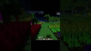 У нас крыса завелась #Shorts #lololoshka #Minecraft #Нарезки