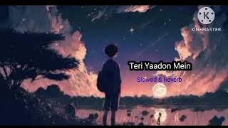 Teri Yaadon Mein (Slowed & Reverb