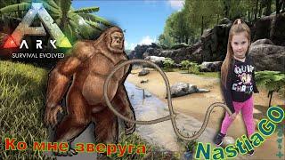 АРК выживание эволюция онлайн как приручить гигантопитека ARK Survival Evolved Tame Gigantopithecus