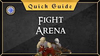 [Quick Guide] Fight Arena