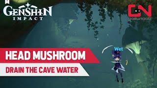 How to Look for the Head Mushroom & Drain Cave Water in Genshin Impact