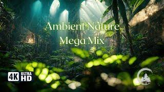 3 Hours of Ambient Nature Music Mega Mix Compilation from Valley View Records 