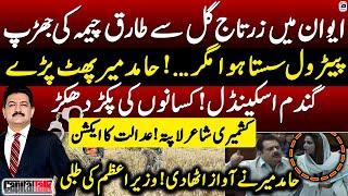 Zartaj Gul Vs Tariq Bashir Cheema - Wheat Scandal - Petrol Price - Hamid Mir - Capital Talk