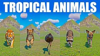 Tropical Animal Speed Races in Planet Zoo included Striped Hyena, Raccoon, Tiger, Emu