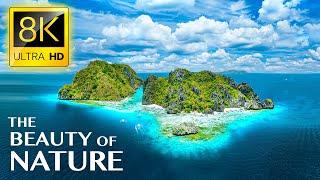 THE BEAUTY OF NATURE 8K ULTRA HD - Tour Around The World with Natural Places and Real Sounds