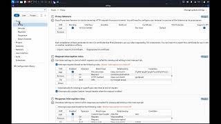 Identifying high-risk functionality with Burp Suite