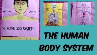 Human body system #human body system science project model