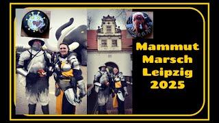 Mammutmarsch Leipzig 2025 | 30km | mit Rüstung