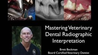 How to Read Veterinary Dental Radiographs for Tooth Resorption in Cats