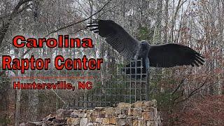 We visited the Carolina Raptor Center - Huntersville, NC