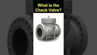 What is the Check Valve???