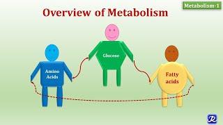 1: Overview of Metabolism | Metabolism-1 | Biochemistry | N'JOY Biochemistry