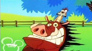 Timon & Pumbaa Season 1x41A - Shopping Mauled Full Episode