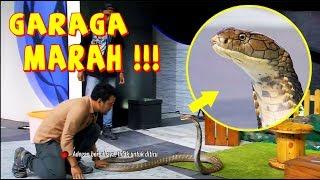 GARAGA KESAL, Bisanya Diambil Panji  | HITAM PUTIH (16/01/20) Part 4